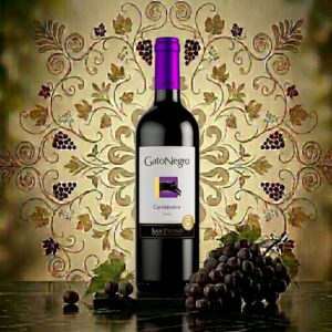 VINO TINTO GATO NEGRO 9 LIVES CARMENERE 750ML